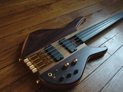 Status S2 Fretless